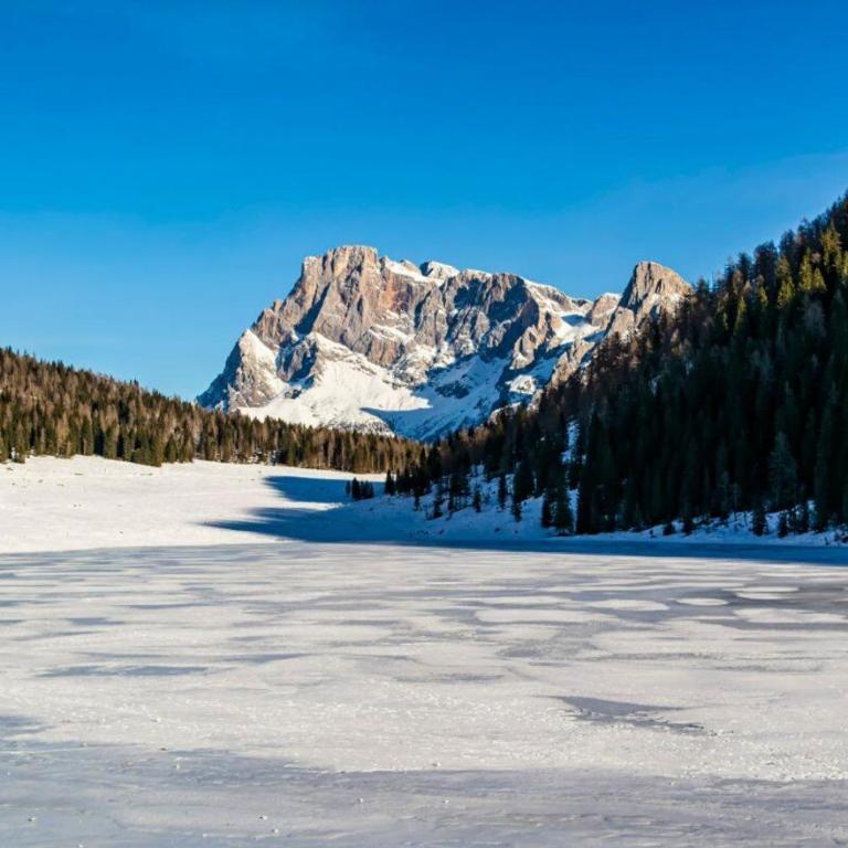 CASA BERNARD Zortea VANOI cuore verde del Trentino - Casa con 2 Camere da Letto - 36
