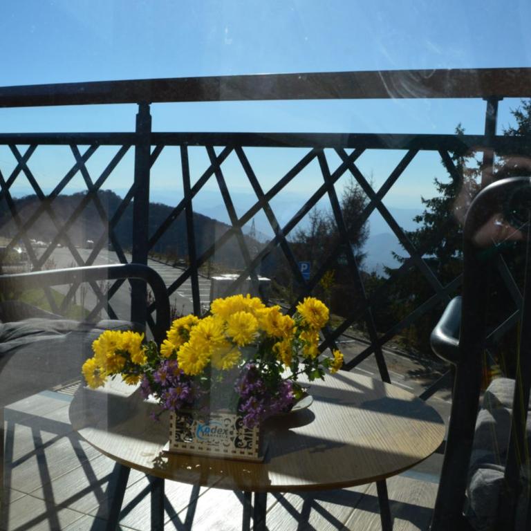 Deluxe Mountain View Studio ViS in Residence Hill Hotel Kopaonik - One-Bedroom Apartment - 21