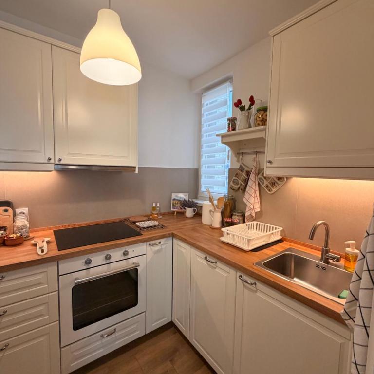 Apartment Svetionik - Apartman sa 1 Spavaćom Sobom - 14