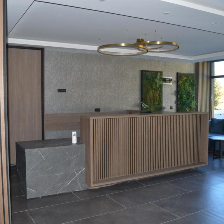 Deluxe Mountain View Studio ViS in Residence Hill Hotel Kopaonik - One-Bedroom Apartment - 52