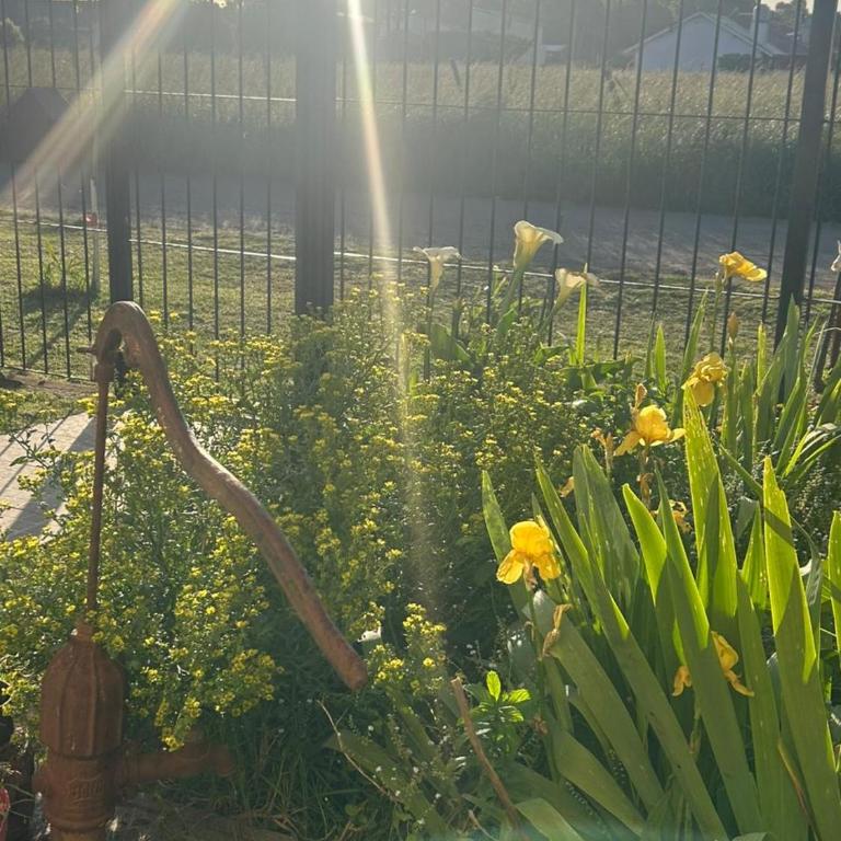 Moderna - Casa Unifamiliar de 2 dormitorios - 13