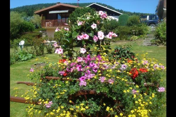 Chalet exposition sud le Nid Douillet - Chalet 2 Chambres - 20