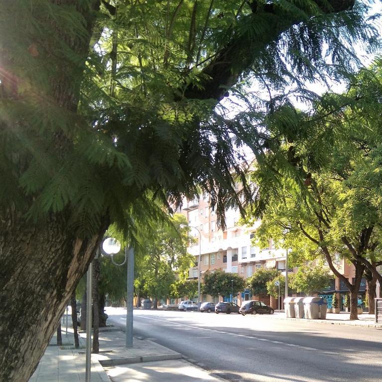 Apartamento Buhaira - Apartamento de 2 dormitorios - 56