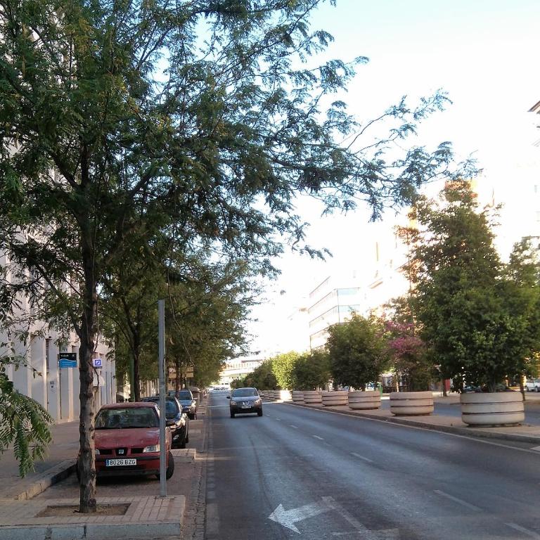 Apartamento Buhaira - Apartamento de 2 dormitorios - 62