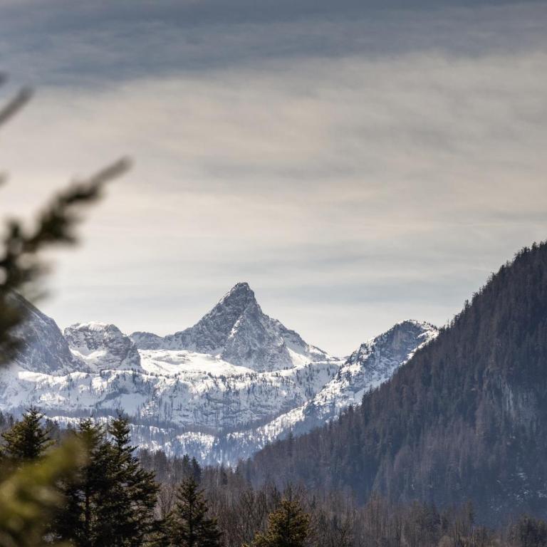 Haus Mitterbach Ferienwohnung Bergkristall - Apartment mit Blick auf die Berge - 17