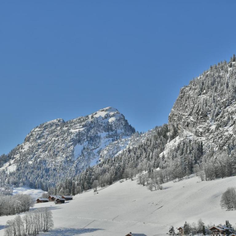 Les Cristaux A303 - Apartment - 23