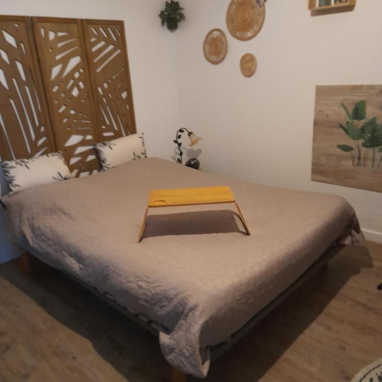 Studio 23 m2, proche centre, calme, WIFI, pk - Apartment mit 1 Schlafzimmer - 2