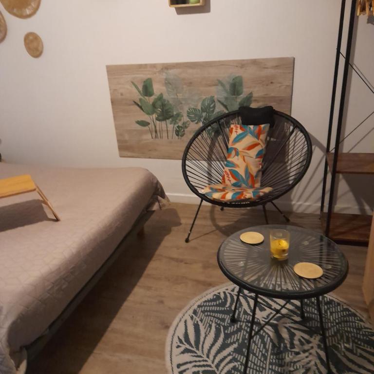 Studio 23 m2, proche centre, calme, WIFI, pk - Apartment mit 1 Schlafzimmer - 3