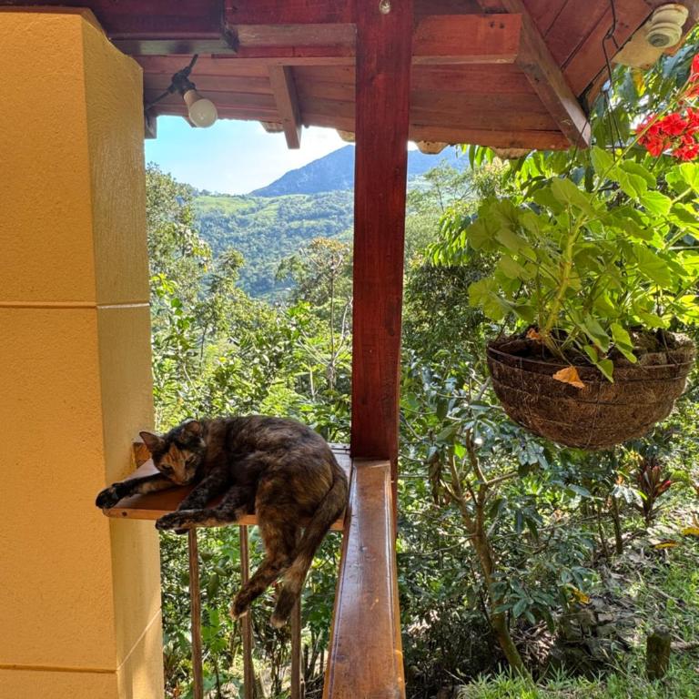 Cascadia - Chalet de 2 dormitorios - 17