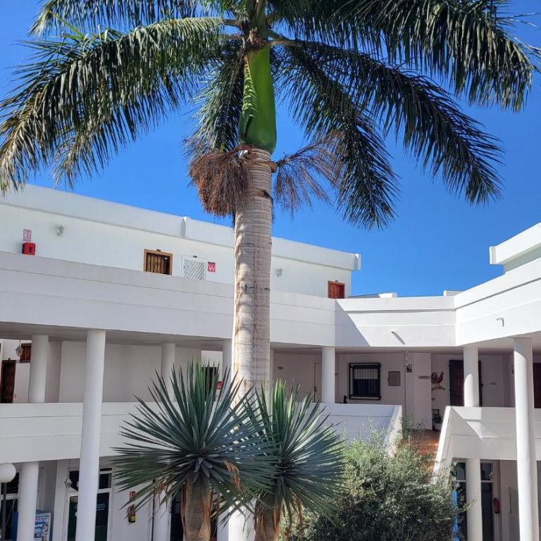 Fantastic Apartment with SeaView - Apartamento de 1 dormitorio - 20