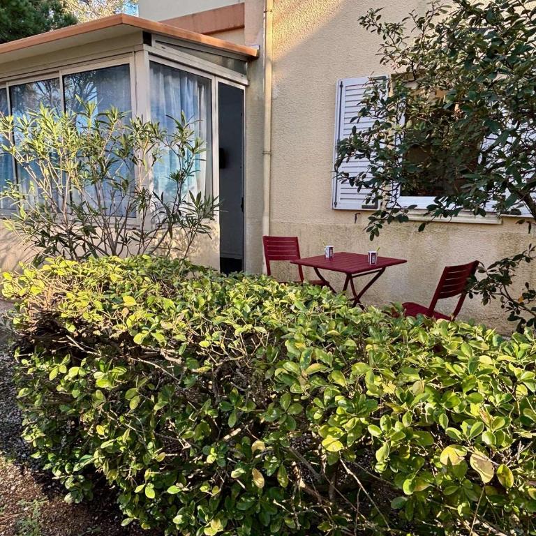 Appartement studio 2 couchages ARGELES SUR MER AR450-1002 - Apartamento - 3