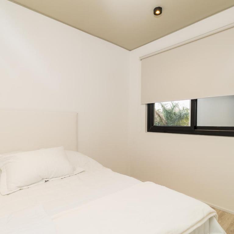 The Station Morra 1 - 101 - Apartment - 5
