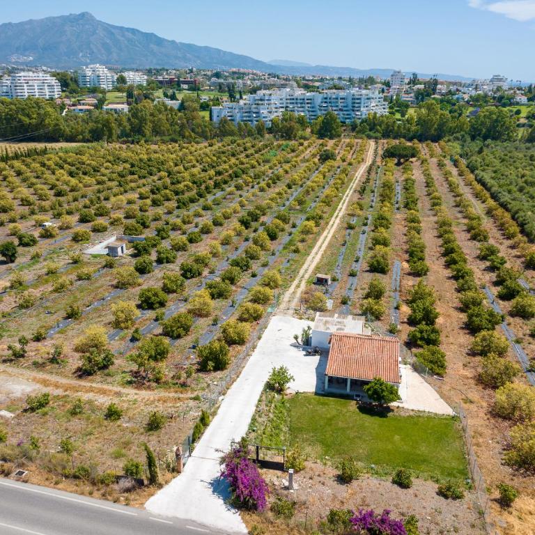 La Casa de los Aguacates entre Marbella, Benahavìs y Estepona - Casa de 2 dormitorios - 4
