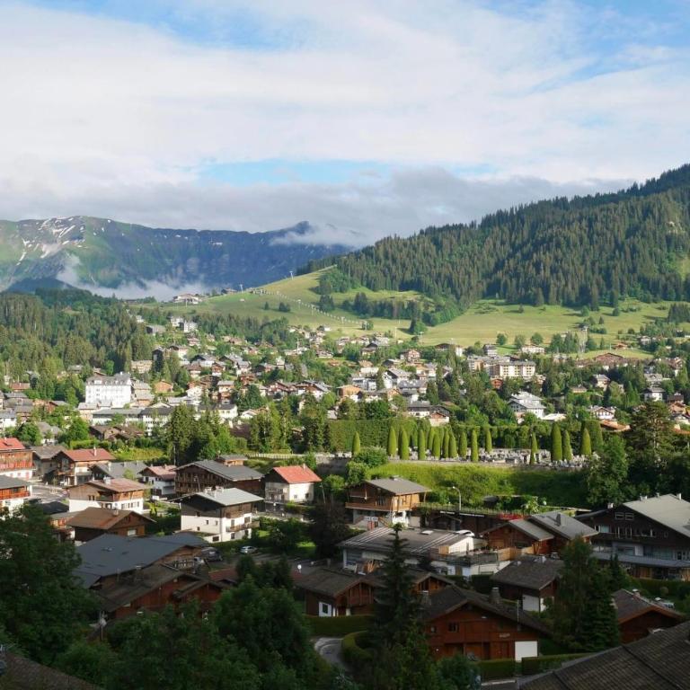 Sumptuous chalet with breathtaking mountain views - Chalet - 25