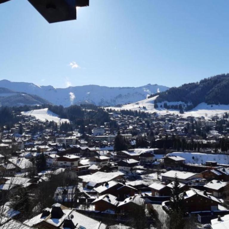 Sumptuous chalet with breathtaking mountain views - Chalet - 27