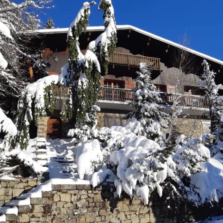 Sumptuous chalet with breathtaking mountain views - Chalet - 29