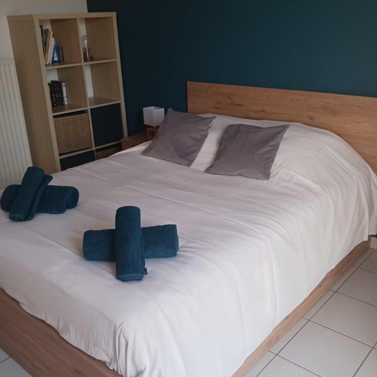 Apartment in Montpellier with a parking space - Appartamento - 9