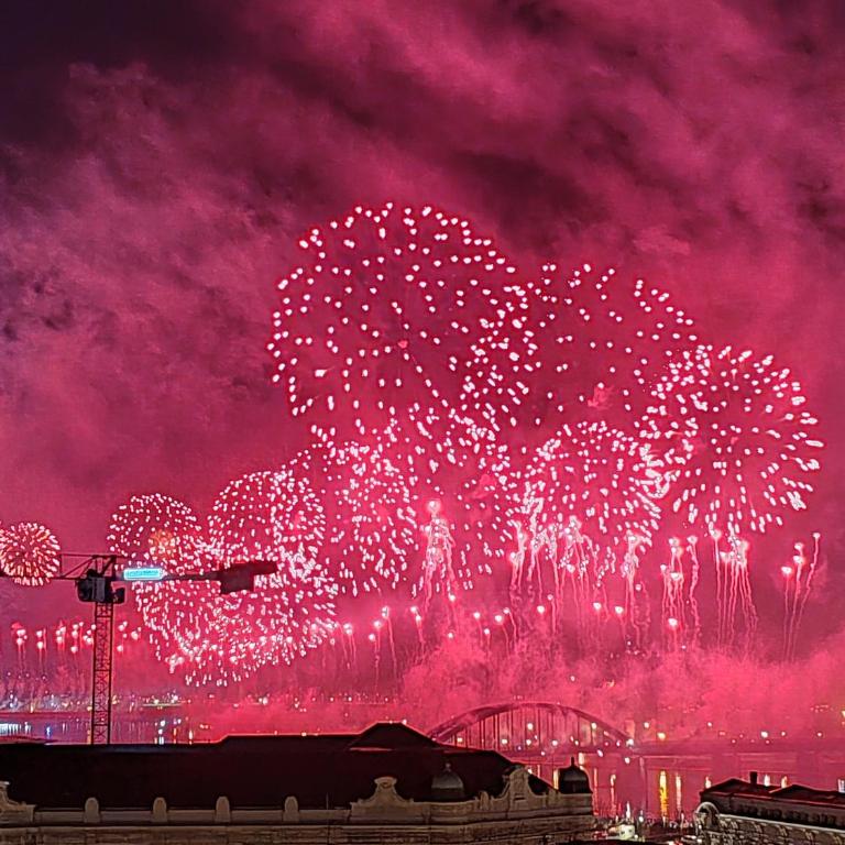 Belgrade Friends apartment - City center - Apartman sa 1 Spavaćom Sobom - 15