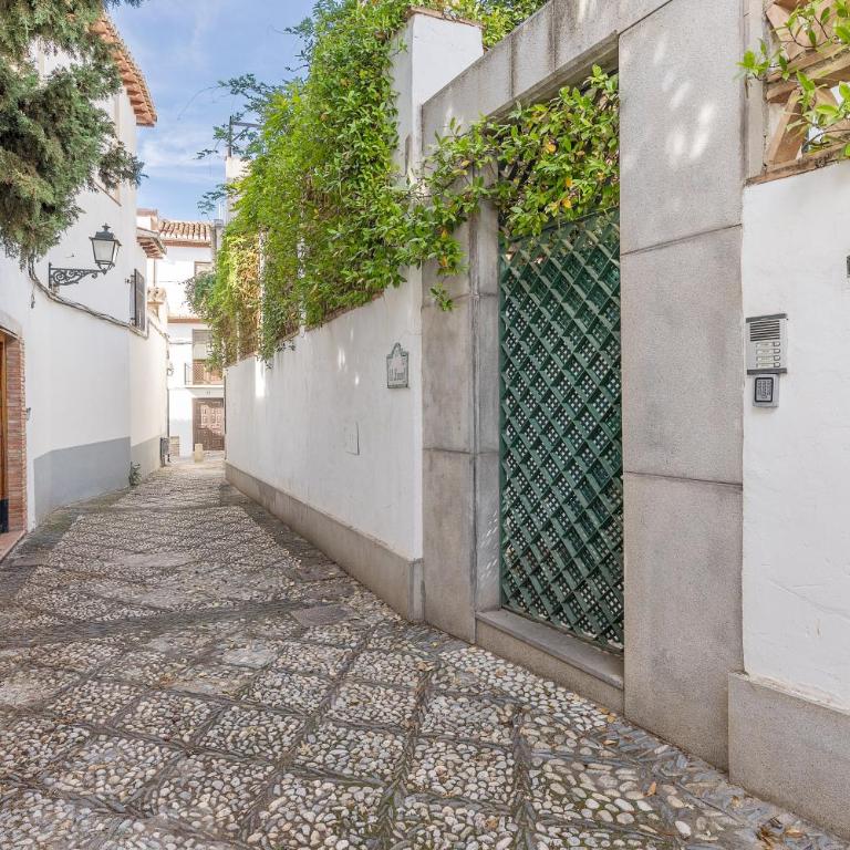 Bright Breather - El Laurel - One-Bedroom Apartment - 32