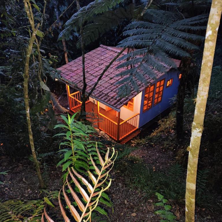 Herencia Colonial Glamping - One-Bedroom House - 1