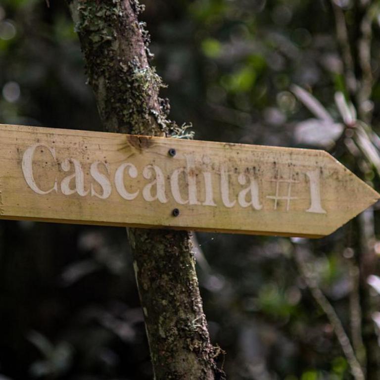 Herencia Colonial Glamping - One-Bedroom House - 25