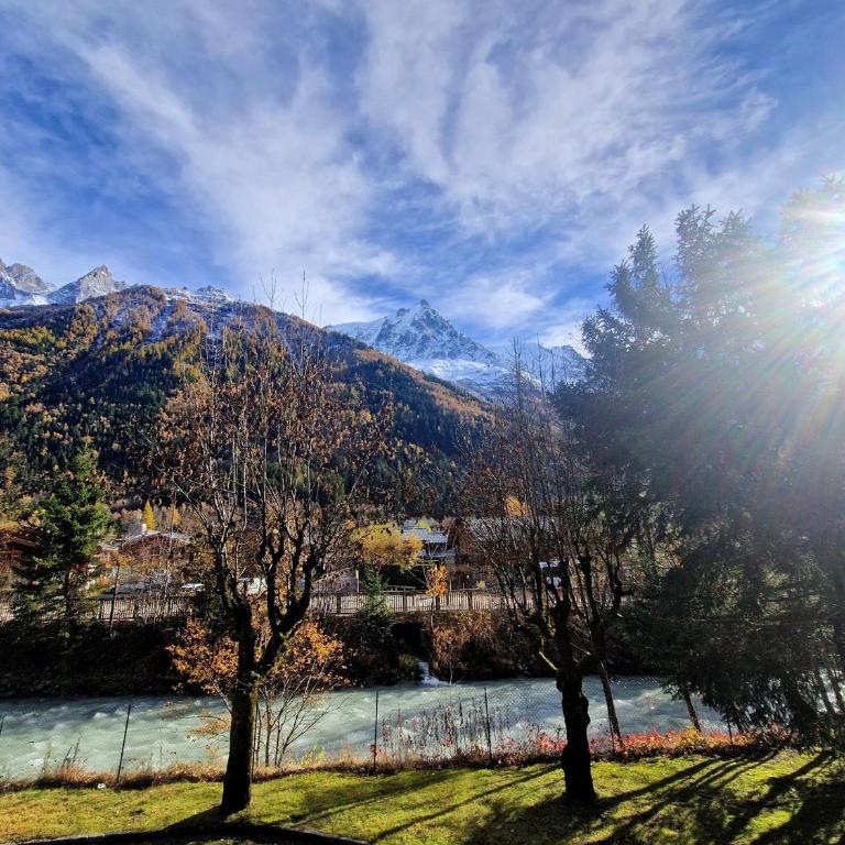 Studio lumineux avec vue sur le massif du Mont-Blanc - Apartment mit Dusche - 9