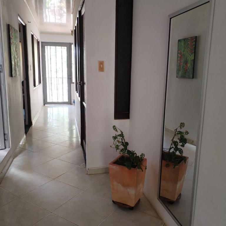 Casa La Ceiba - Three-Bedroom Apartment - 3