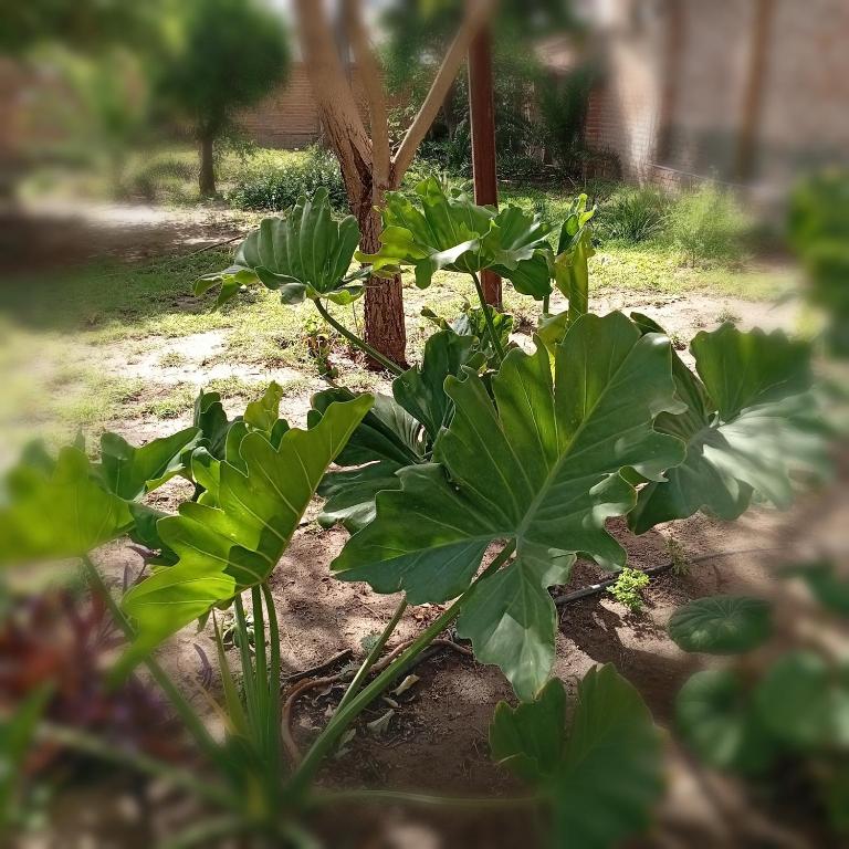 Las Marias - Three-Bedroom House - 23