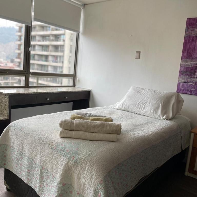 Providencia, Santiago beautiful apartment - Apartamento Superior de 2 dormitorios - 22