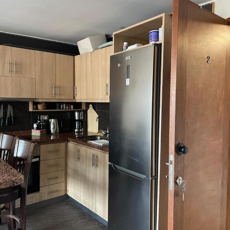 Providencia, Santiago beautiful apartment - Apartamento Superior de 2 dormitorios - 23