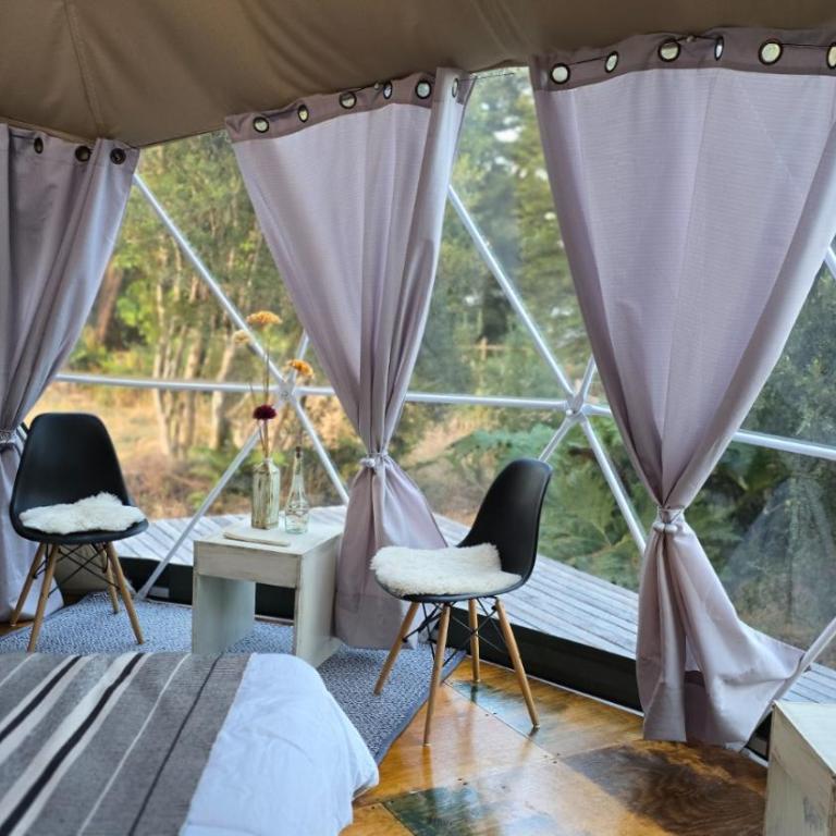 Domos El Origen - Tienda - 4