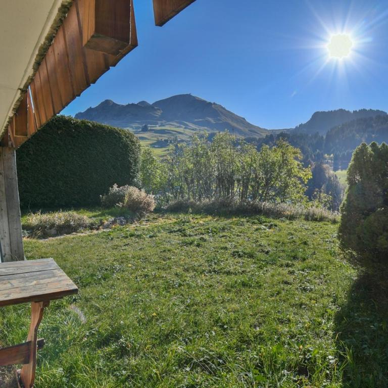 Chalet Mitoyen Dupree - Chalet (8 Adulti) - 17