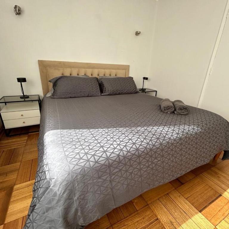 Bicentenario Park Apartment - Two-Bedroom Apartment - 2