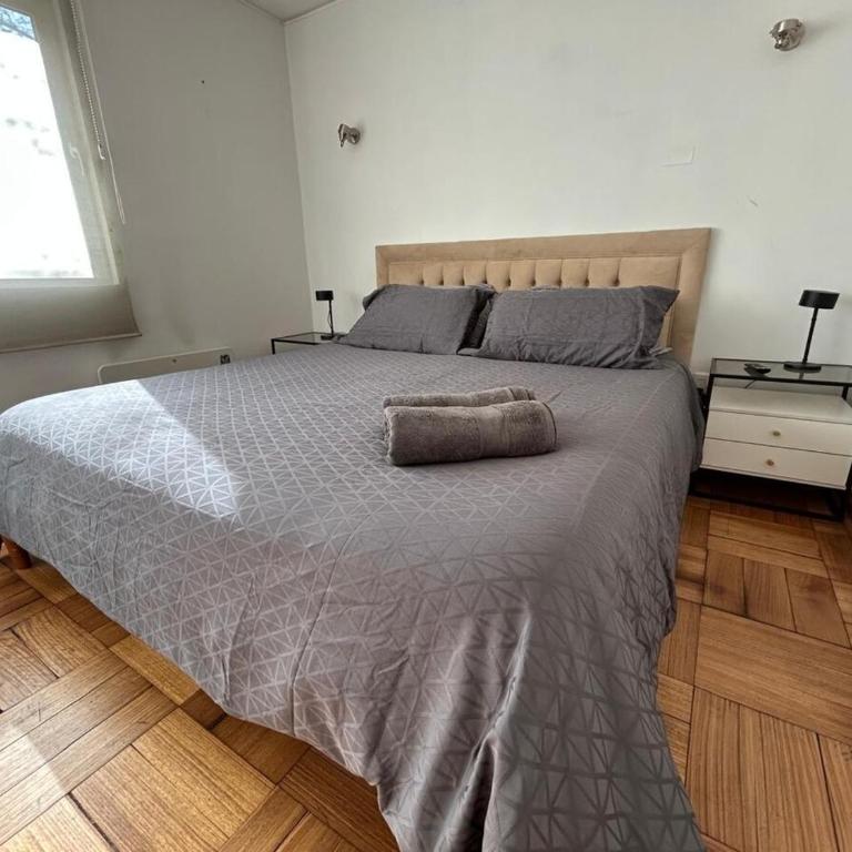 Bicentenario Park Apartment - Two-Bedroom Apartment - 7