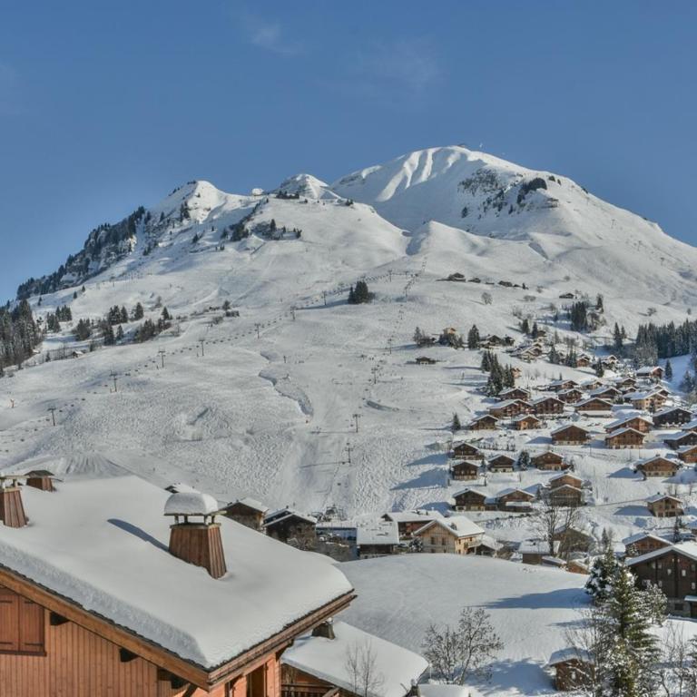 Chalet Berrier - Chalet (12 Erwachsene) - 28