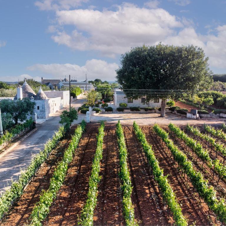 Le Dimore Crescenzio, Authentic Apulian Experience - Casa con 6 Camere da Letto - 7
