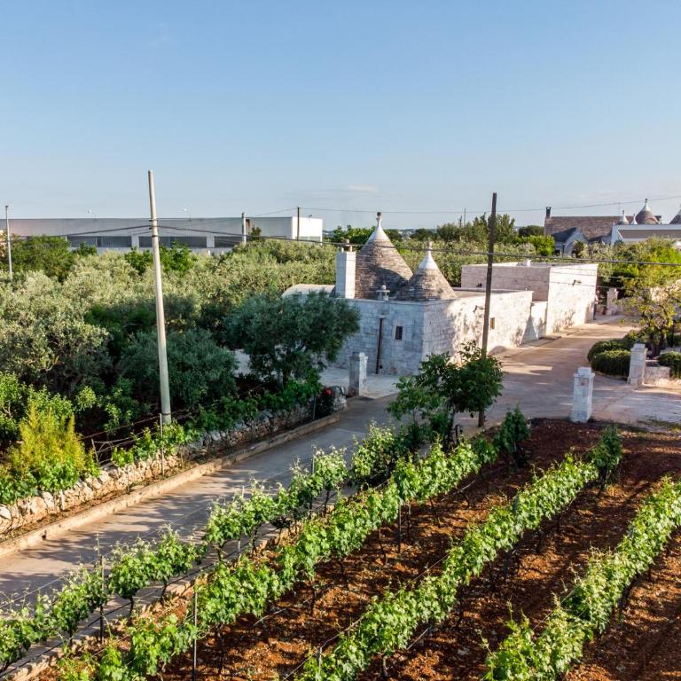 Le Dimore Crescenzio, Authentic Apulian Experience - Casa con 6 Camere da Letto - 48