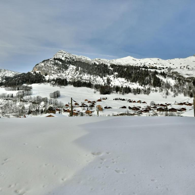 Refuge Le Bardeau B1 - Appartamento (5 Adulti) - 15