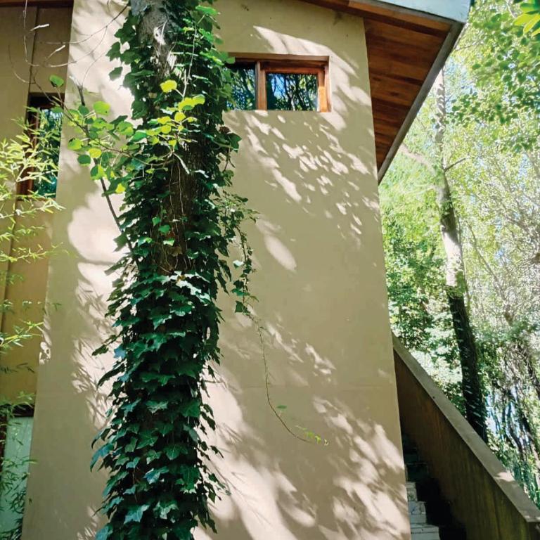 casas del arbol 5 - One-Bedroom Apartment - 1