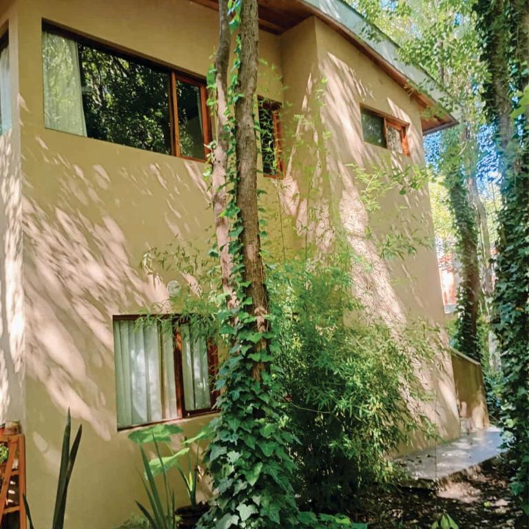 casas del arbol 5 - One-Bedroom Apartment - 2