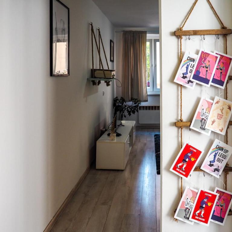 Cheyf in Grbavička - Apartman sa 1 Spavaćom Sobom - 27