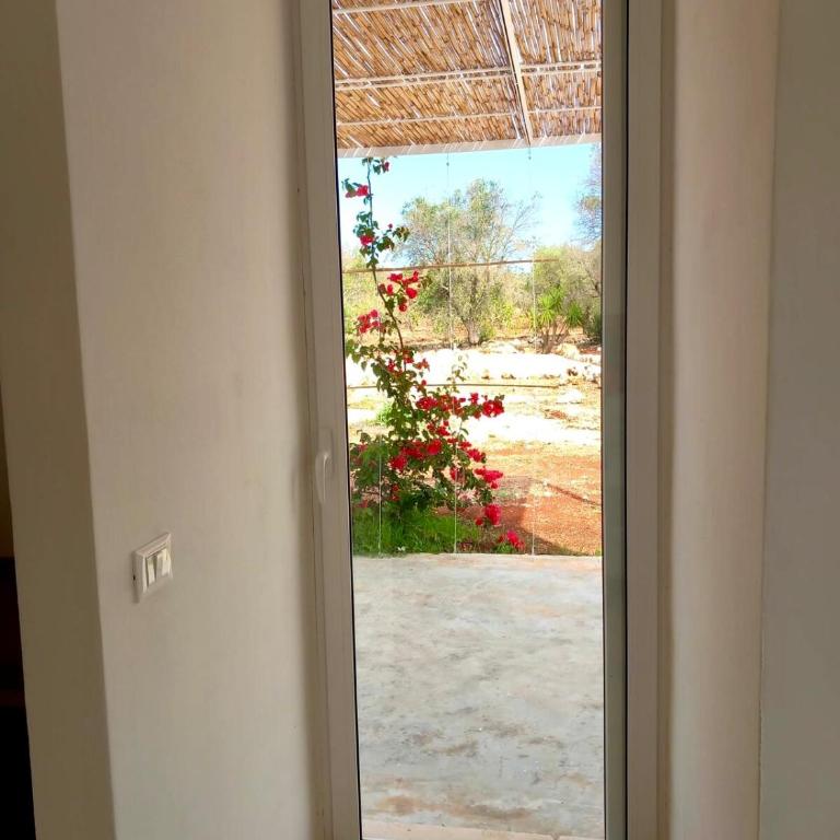 Trullo La Meringa, charming home in Ostuni - Casa Vacanze - 10