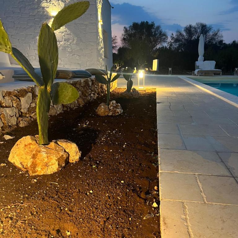 Trullo La Meringa, charming home in Ostuni - Casa Vacanze - 31