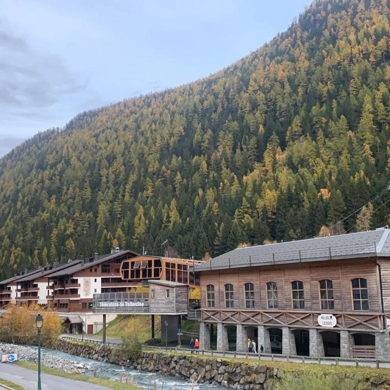 Appartement LE BUET skis aux pieds, piscine & Spa - Appartement 2 Chambres - 31