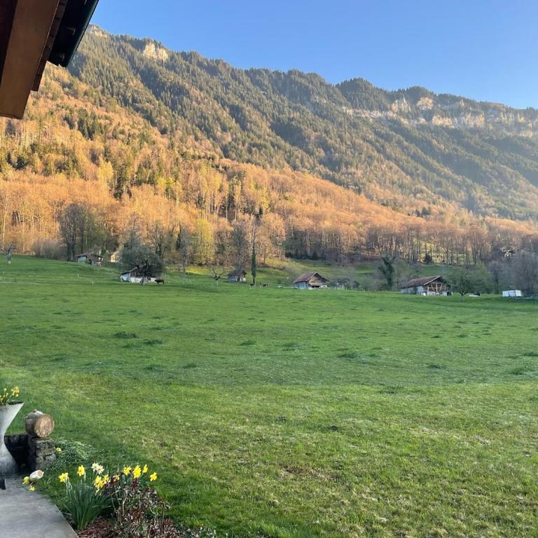 Kiwi Chalet - Mountain Views & Cozy NZ Vibes - Apartment mit 1 Schlafzimmer - 42