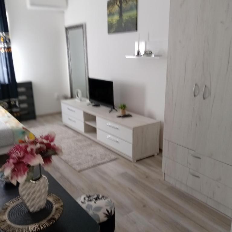 Apartmani Nana - Apartman sa 1 Spavaćom Sobom - 15