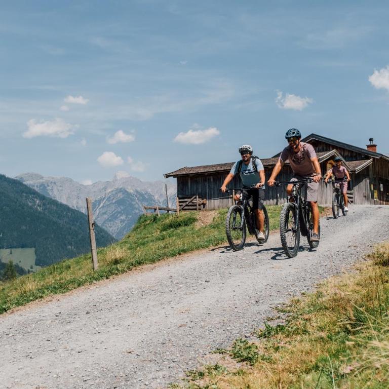 Chalet Matzhof - Apartment mit Blick auf die Berge - 28