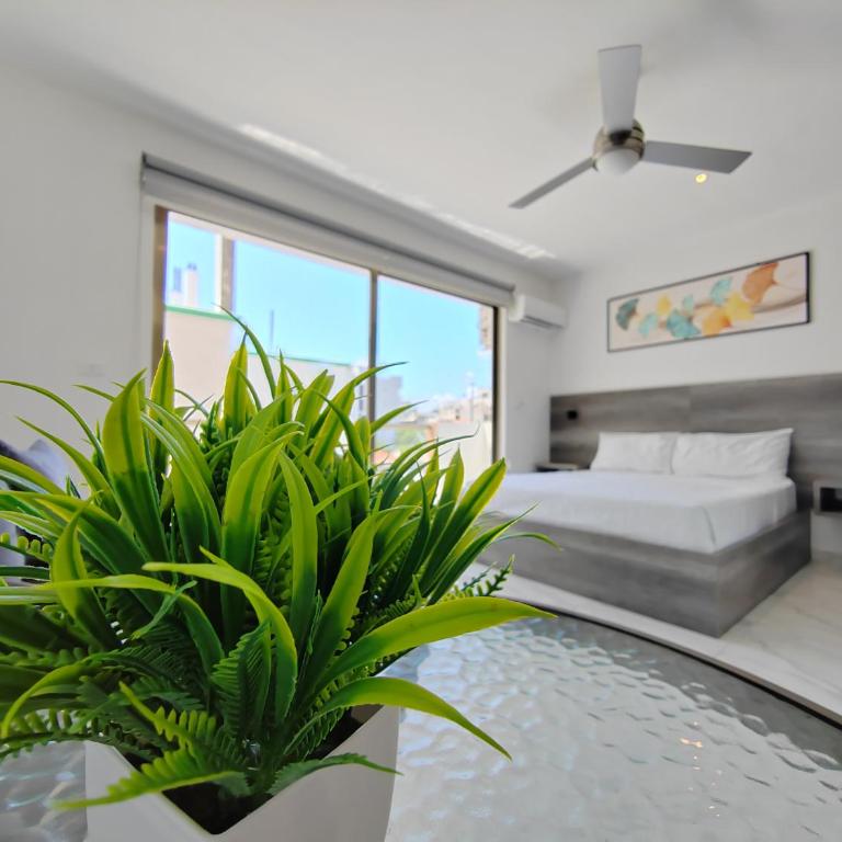 Acogedor & Lindo estudio en zona céntrica de Playa By Yeah - Standard Studio - 1