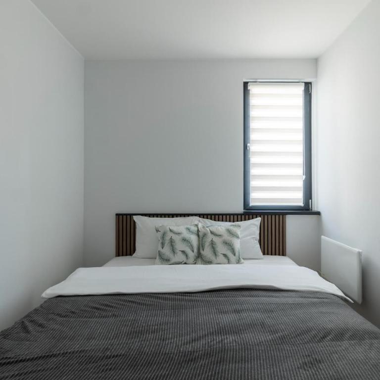 Lawa 22 - Classic Apartment - 2