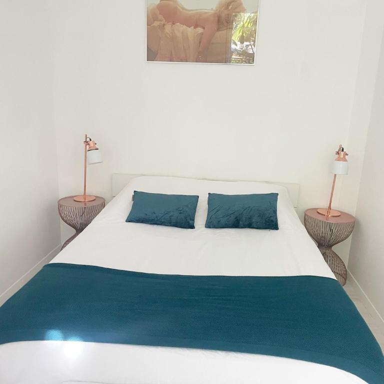 Appartment with private garden in city center Nice - Appartement 2 Chambres - 17